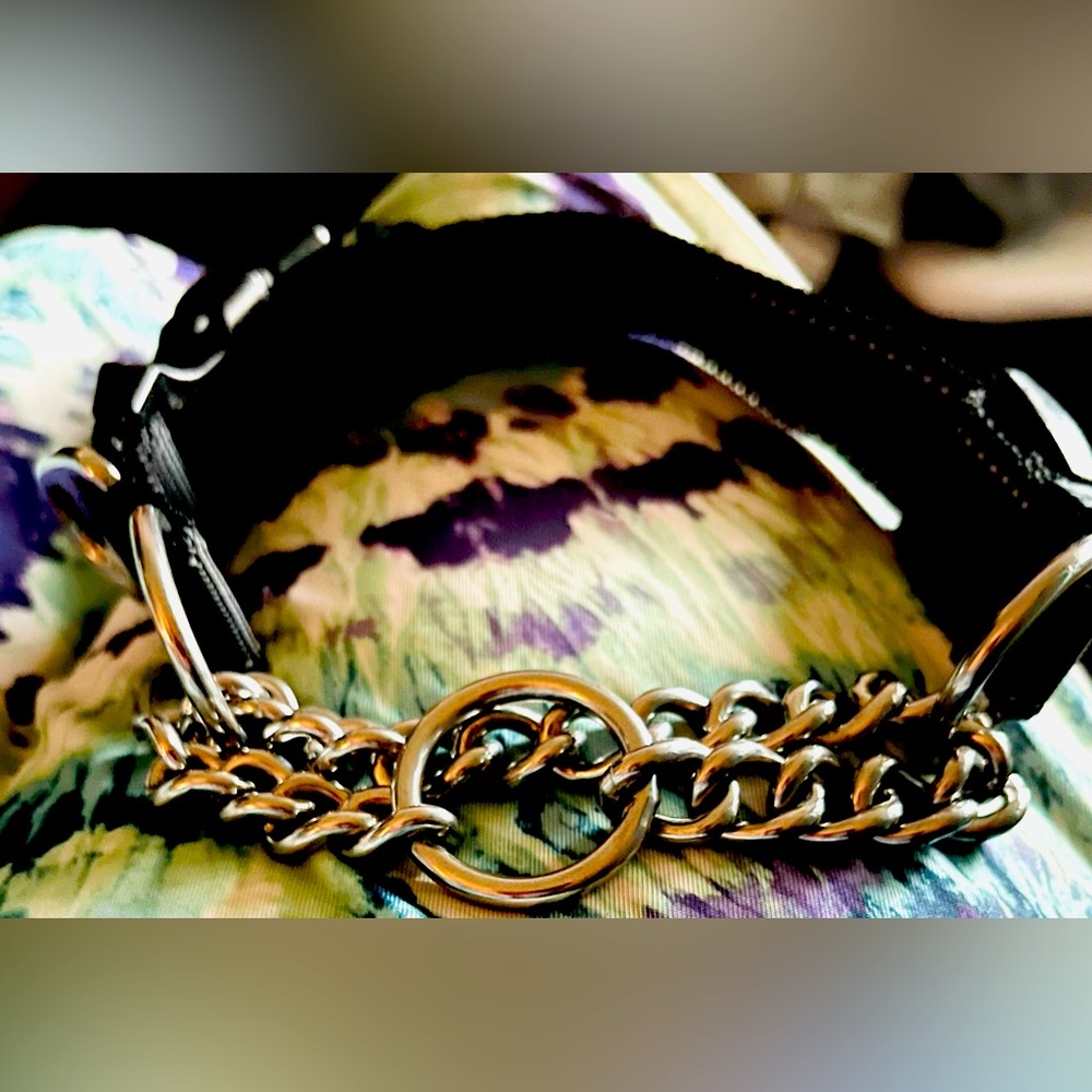 New MIGHTY PAW Metal Dog Collar, with metal chain and rings
